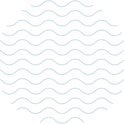 About section curve image