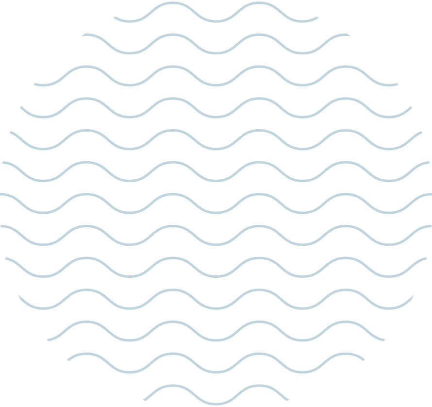 About section curve image
