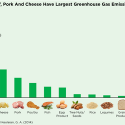 Bar graph illustrating how Beef, porch, and Cheese have largest greenhouse gas emission