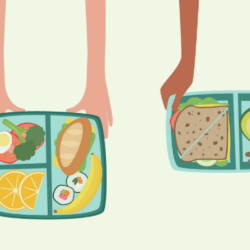 School meal trays
