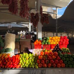 Uzbekistan school meal market