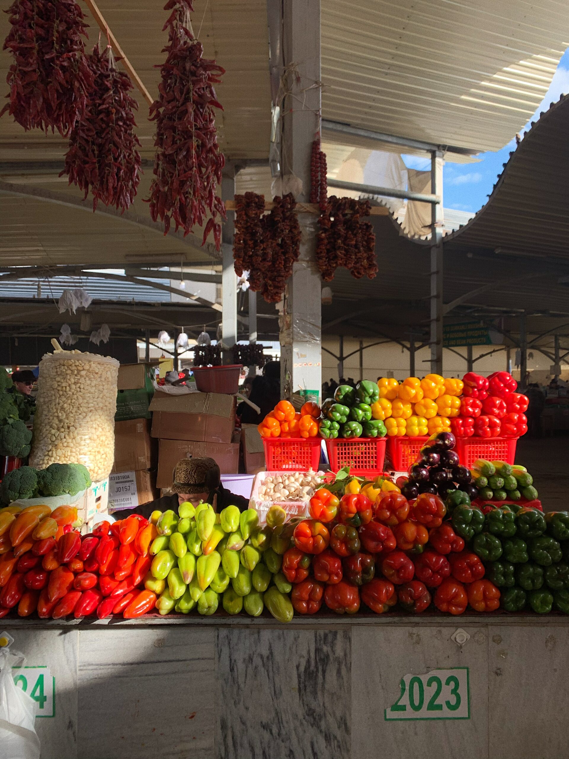 Uzbekistan school meal market