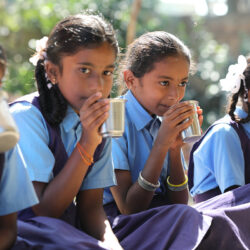 Feeding the Grades - Calling for an Expansion of School Meals in India