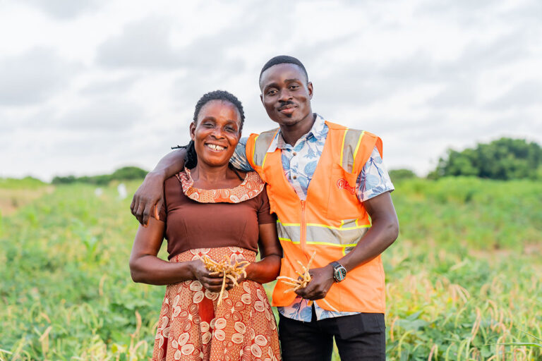 A Ghanaian smallholder farmer and Food for All Africa worker harvesting beans to be disturbed at schools.