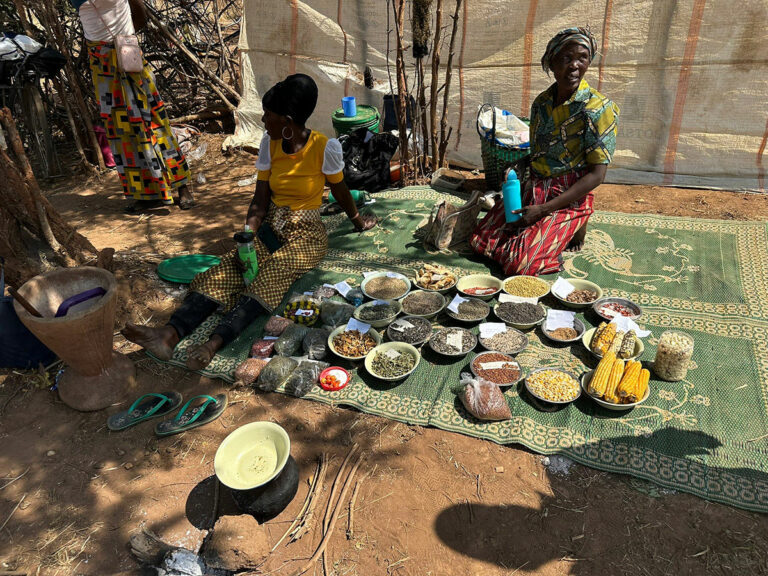 Community seed bank members displaying their local seed varieties in Mumbwa